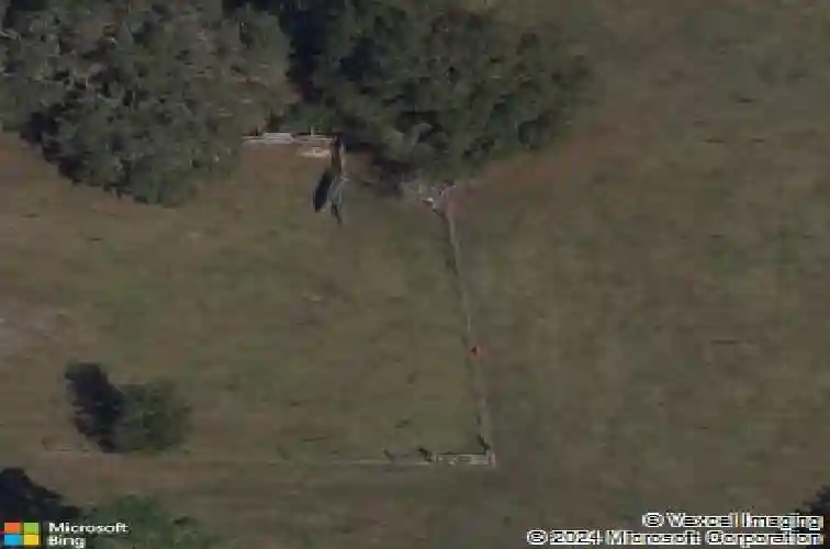 5041 cr 577, center hill,  FL 33514