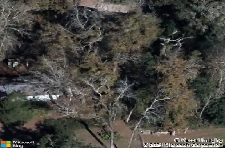 8161 cr 647, bushnell,  FL 33513