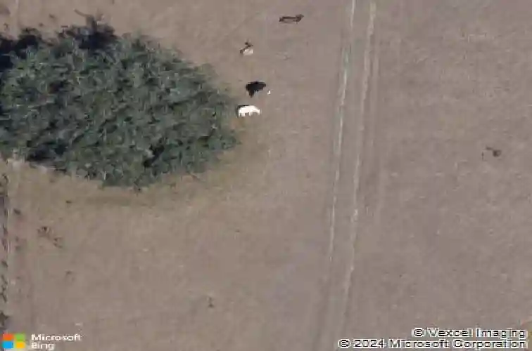 6949 cr 651, bushnell,  FL 33513