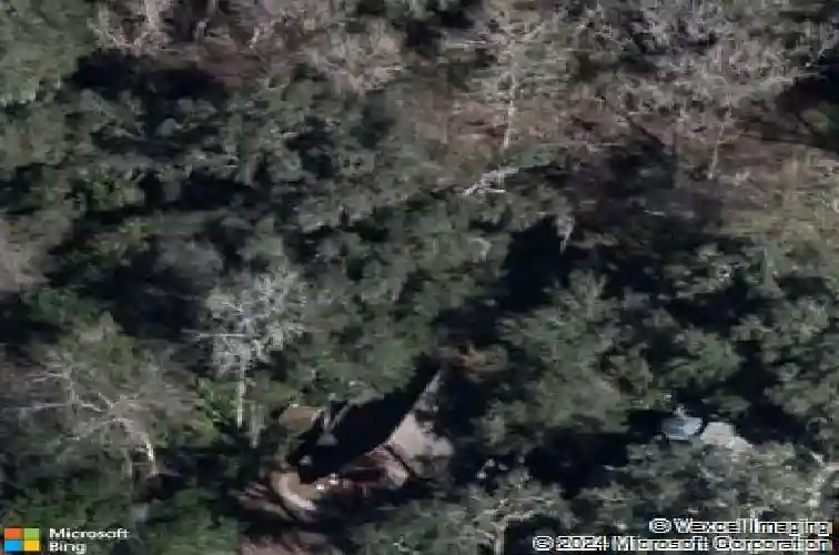 10388 sw 64th ave, bushnell,  FL 33513