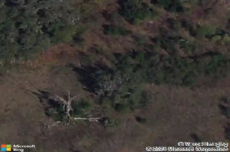 4756 county road 44a, wildwood,  FL 34785