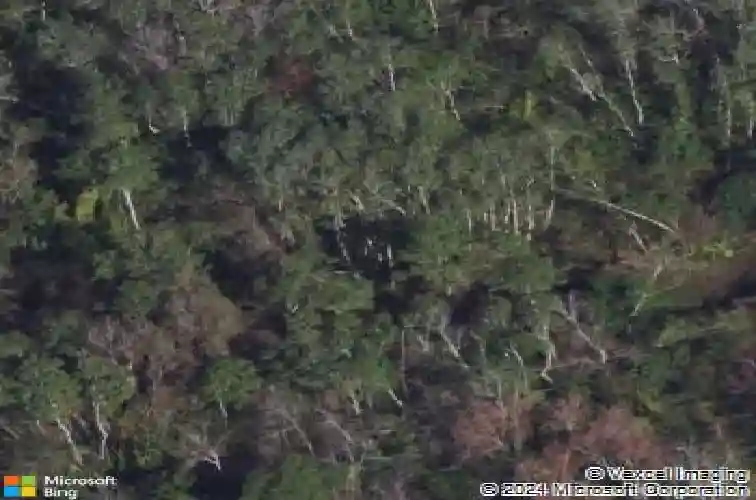 1784 sw saint andrews dr, palm city,  FL 34990