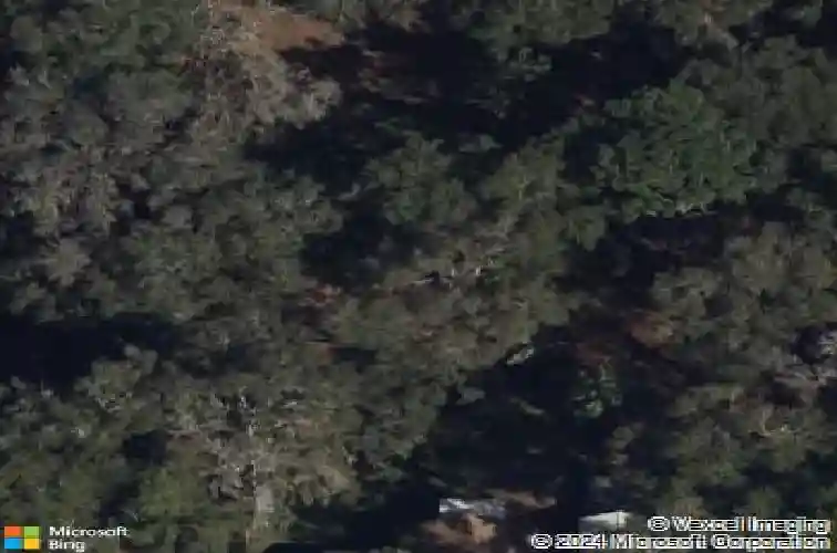 4700 warm springs ave, wildwood,  FL 34785