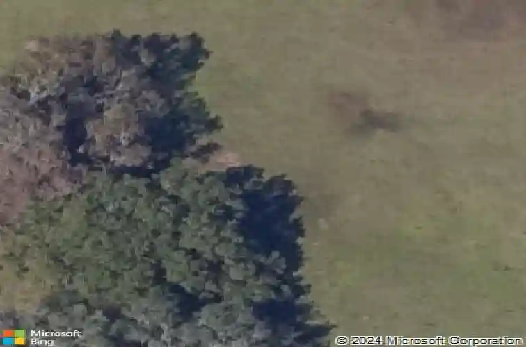 2027 county road 232, wildwood,  FL 34785