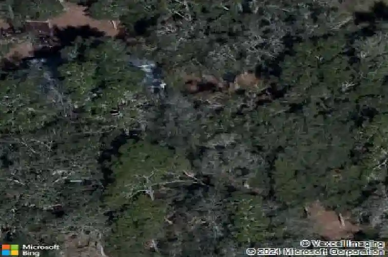 8970 cr 646, bushnell,  FL 33513