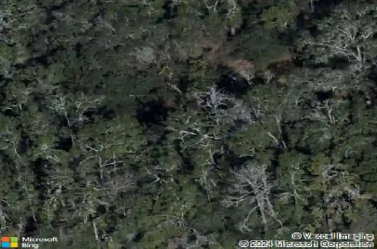 9192 cr 647cs, bushnell,  FL 33513