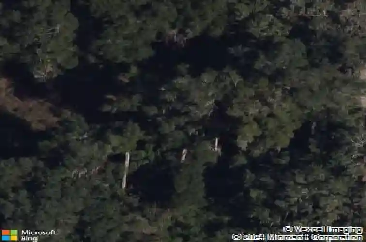 6974 powell rd, wildwood,  FL 34785