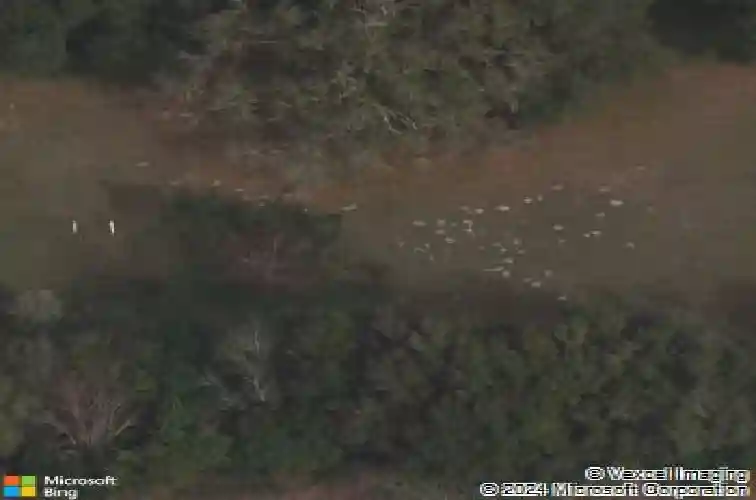 9481 n us highway 301, wildwood,  FL 34785