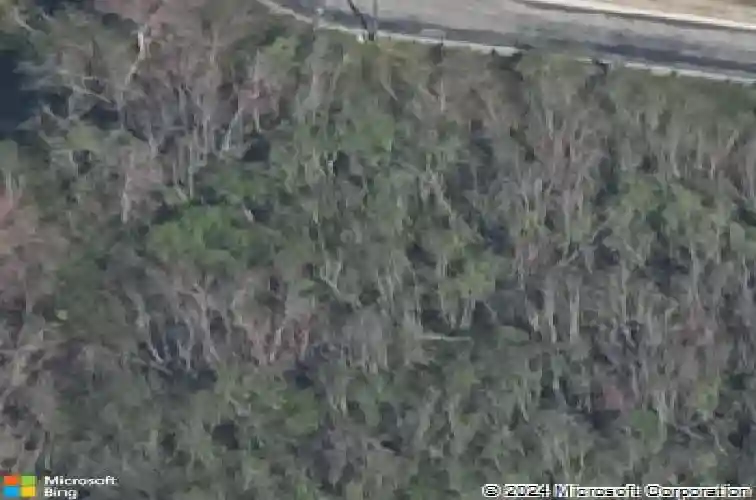  wildwood,  FL 34785