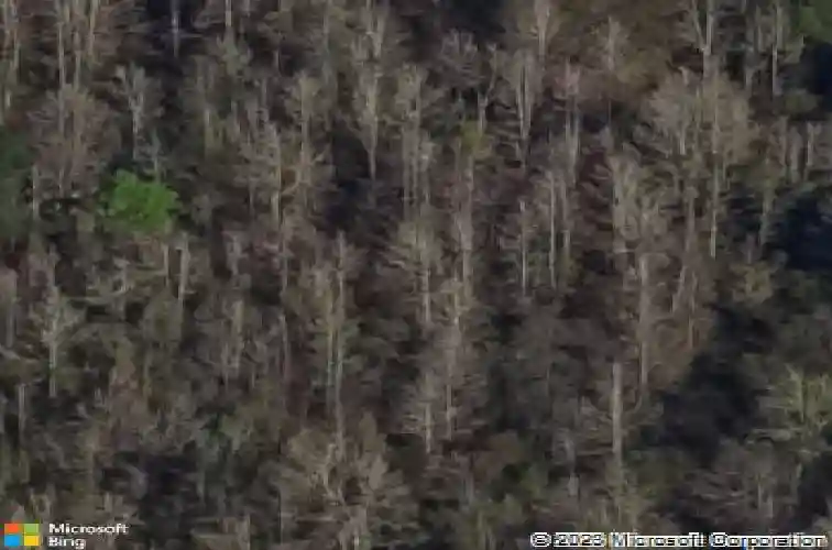 1773 county road 44a, wildwood,  FL 34785