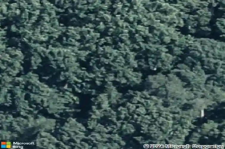 3455 pine ave, reading,  PA 19606