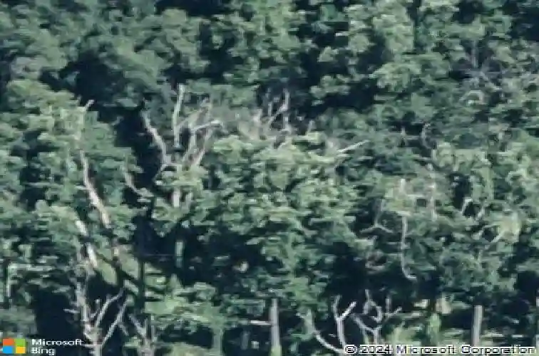 2121 georgia rd, temple,  PA 19560