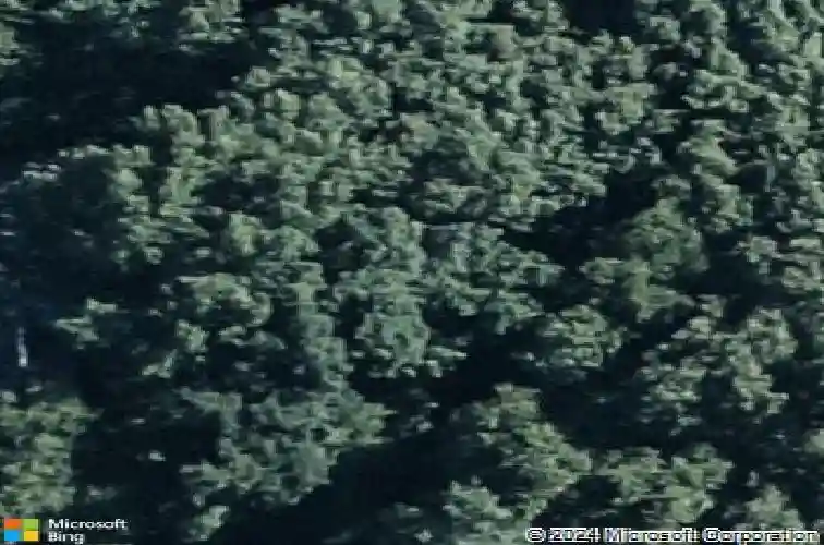 17 chinkapin dr, fleetwood,  PA 19522