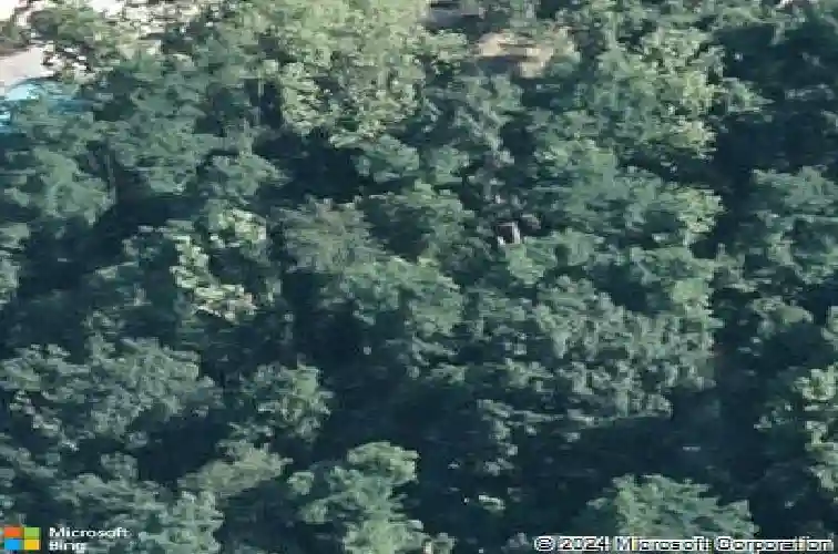 6 woods way, reading,  PA 19610