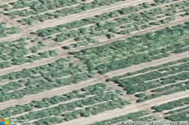 snyder road, reading,  PA 19605