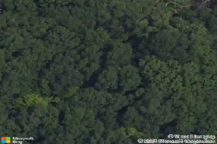 251 vernon rd, schenectady,  NY 12302