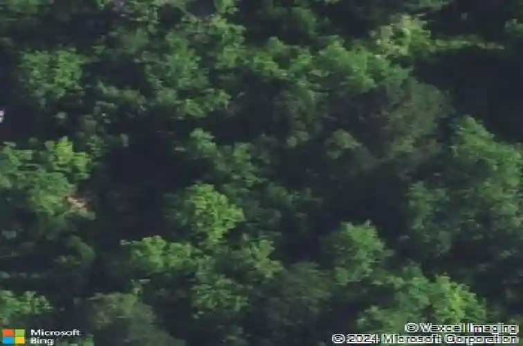 6807 cabin creek rd, hopkins,  SC 29061