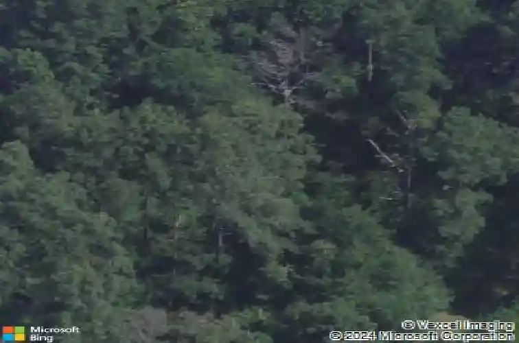 northlake road, columbia,  SC 29223