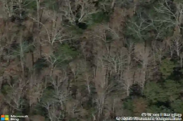 100 stone hill rd, chapin,  SC 29036