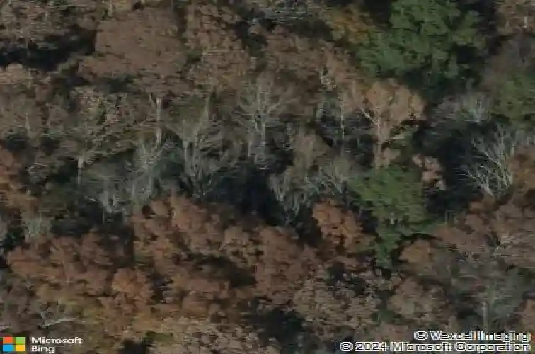 14 willow trail ct, irmo,  SC 29063