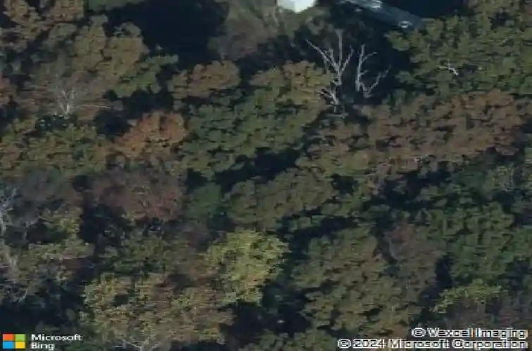 105 gamecock dr, blythewood,  SC 29016