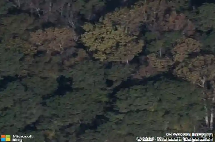  blythewood,  SC 29016