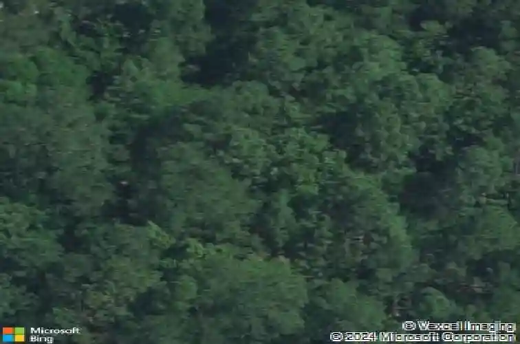 1400 toms creek rd, hopkins,  SC 29061