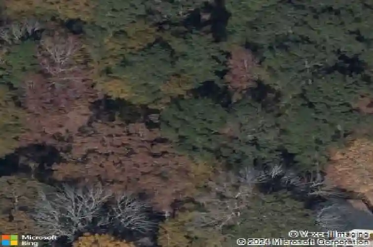 2200 muller rd, blythewood,  SC 29016