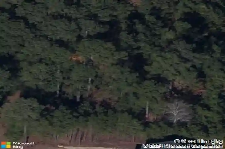 341 woodlander dr, blythewood,  SC 29016