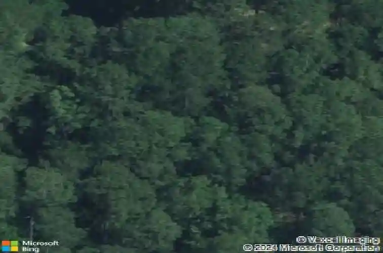 6 pheasant cir, hopkins,  SC 29061