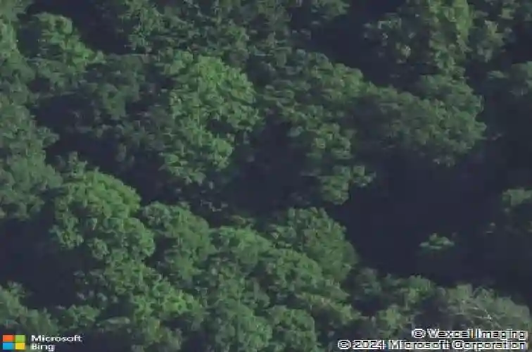 606 eleanor ct se, cedar rapids,  IA 52403