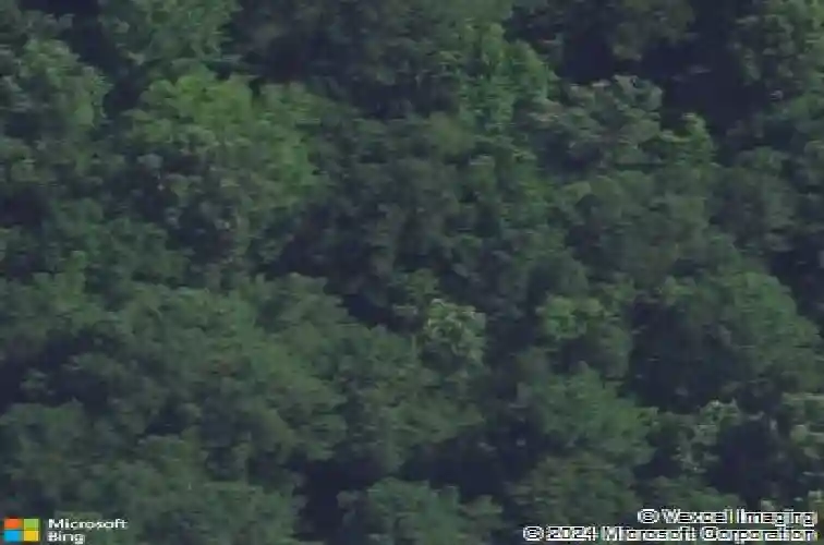 1627 hollingshed rd, irmo,  SC 29063