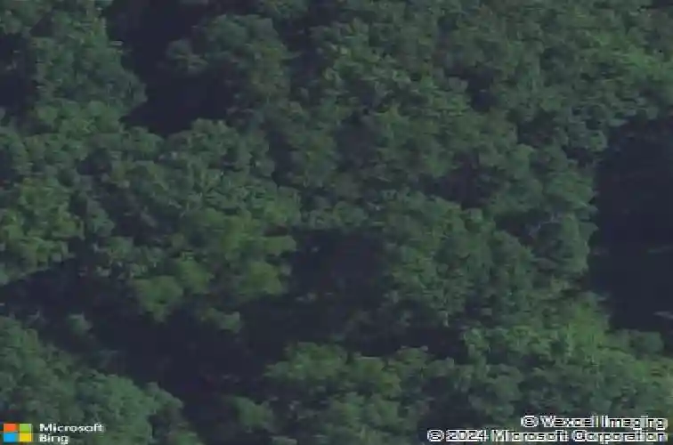 2215 timber wolf trl se, cedar rapids,  IA 52403