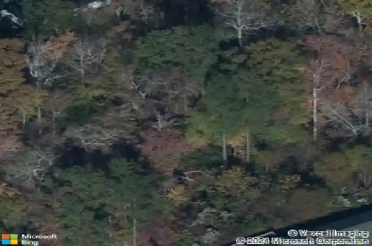 11 otter trail ct, columbia,  SC 29203