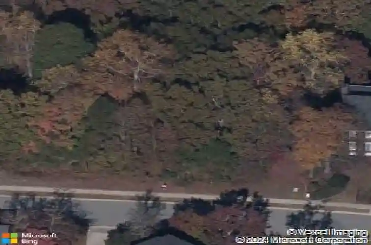 37 shoreline dr, columbia,  SC 29229