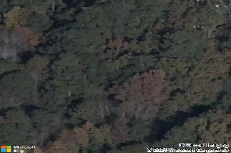 114 copperhill ln, columbia,  SC 29229