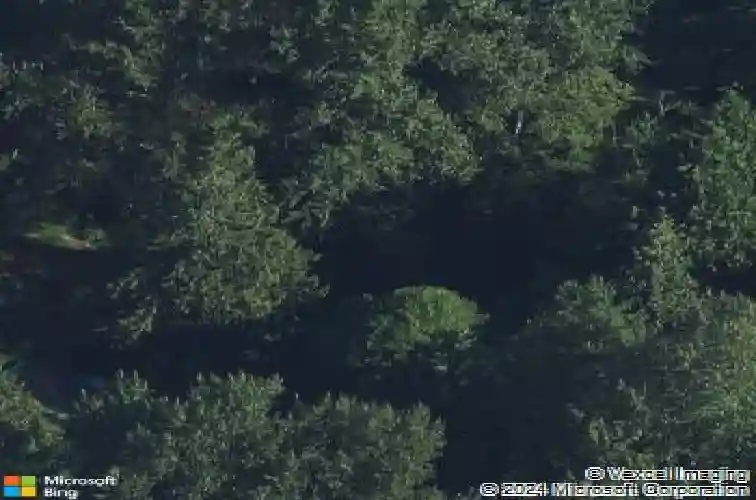  arlington,  WA 98223