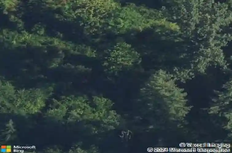  arlington,  WA 98223