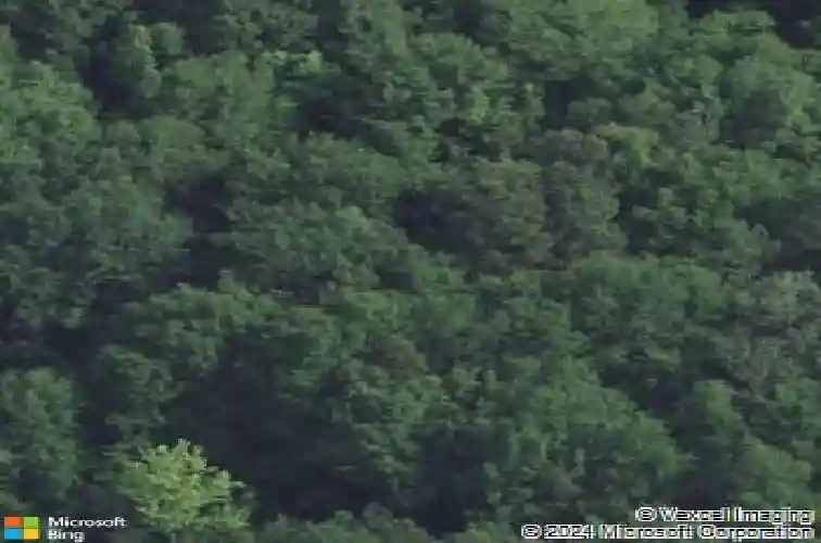 424 rabon rd, columbia,  SC 29223