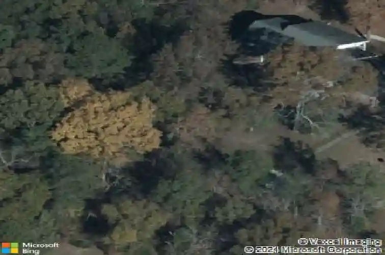 109 hooterville dr, blythewood,  SC 29016