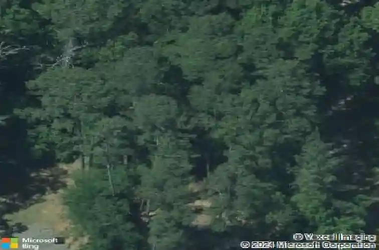 4317 woodridge dr, columbia,  SC 29203