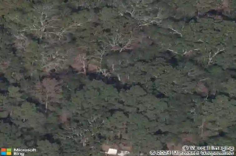 1032 pablo dr, eastover,  SC 29044