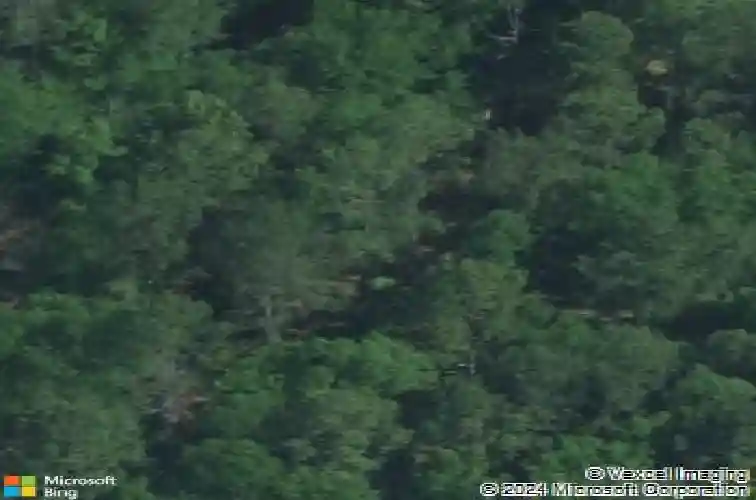 560 harmon rd, hopkins,  SC 29061