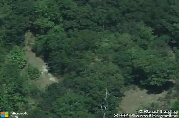 6160 old leesburg rd, hopkins,  SC 29061