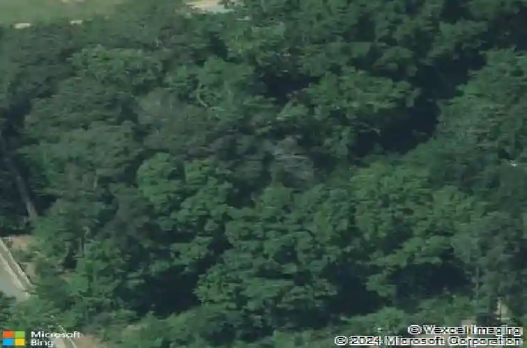 104 burning tree ln, columbia,  SC 29210