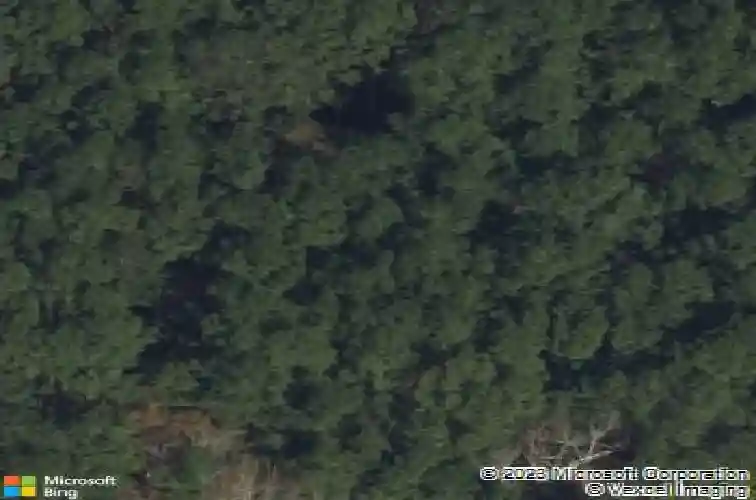 1837 old augusta rd s, rincon,  GA 31326