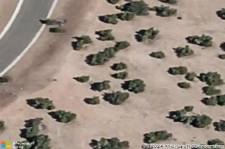 12 via optima, santa fe,  NM 87507