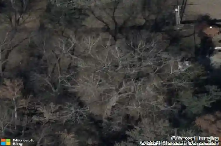 2504 magnolia ave, liberty,  MO 64068