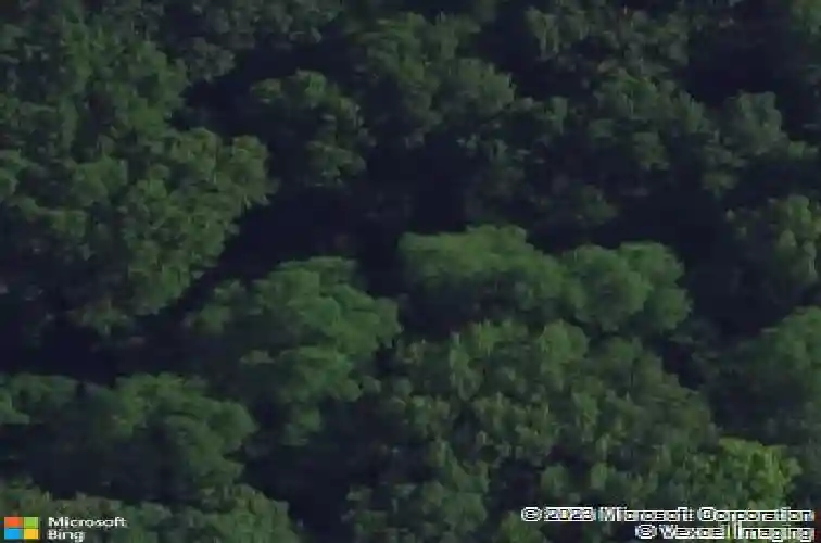 2421 12th ave se, cedar rapids,  IA 52403