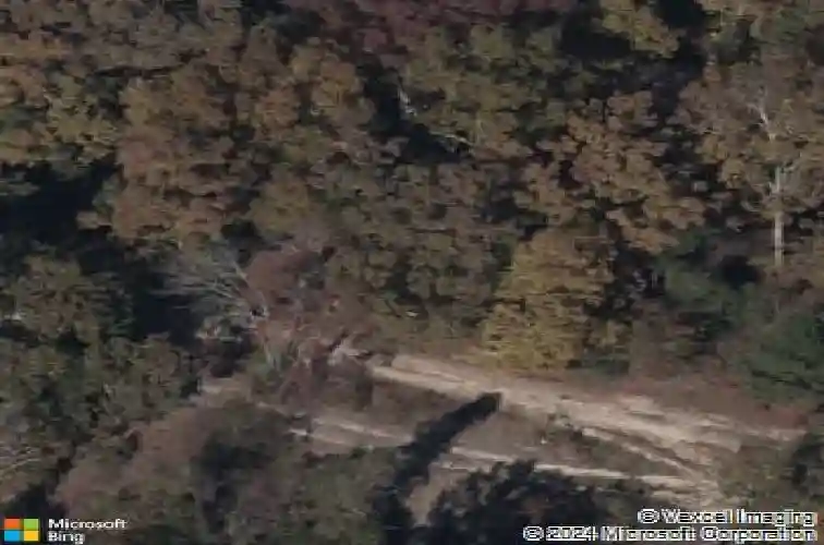 1123 abney hill rd, blythewood,  SC 29016